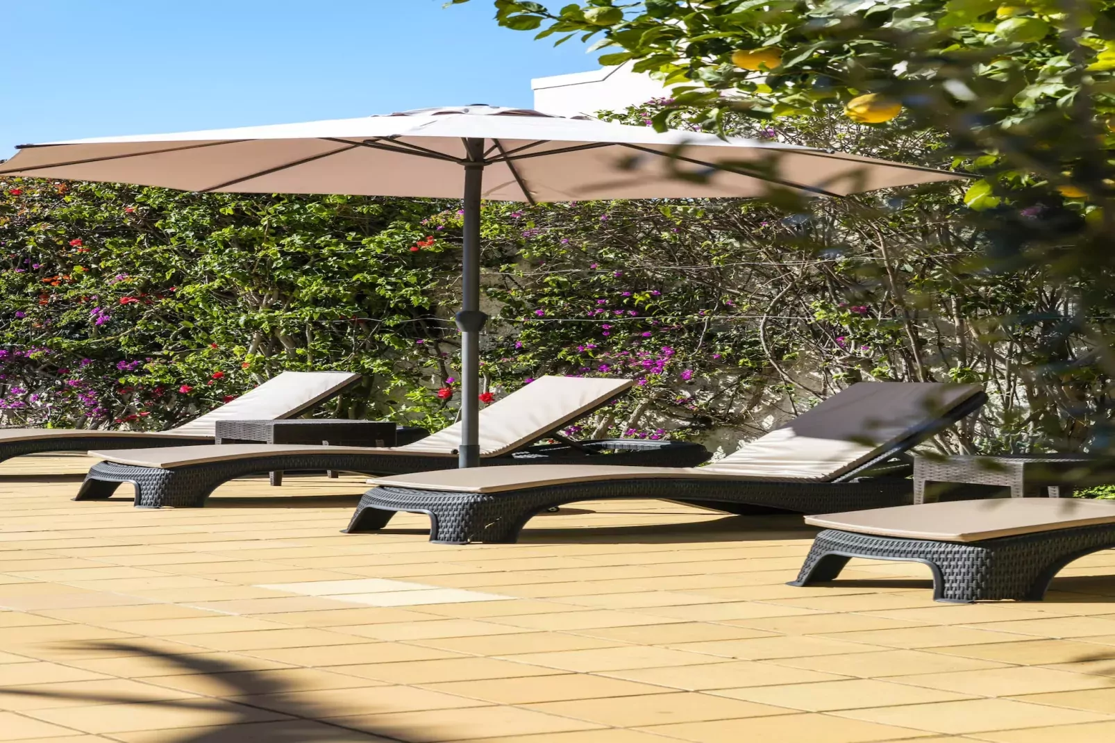 The Palm House - Townhouse at Vale de Milho golf-Terras
