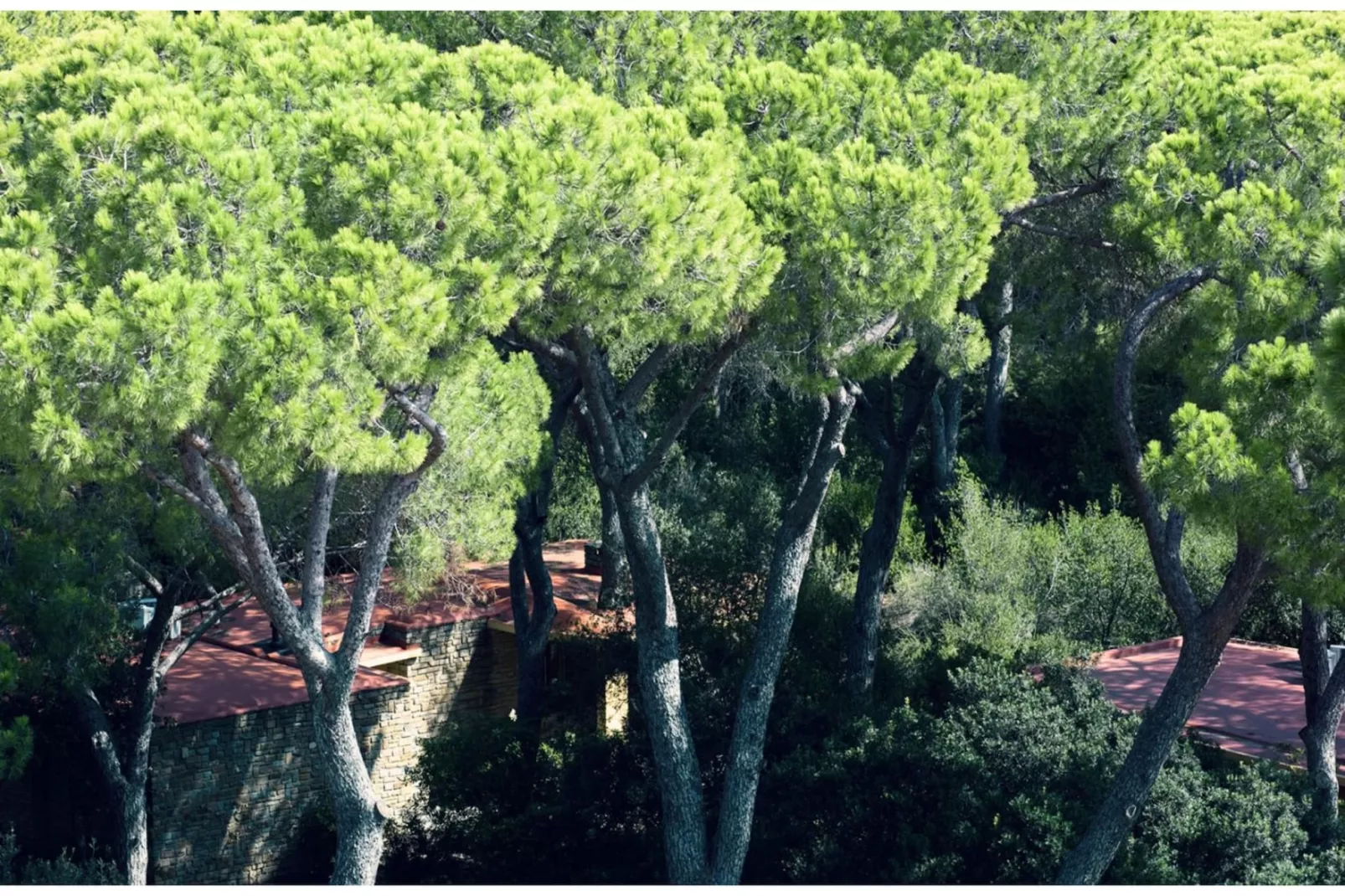ROCCAMARE RESORT 1-Zi-App Studio Deluxe BK/TE 28 qm-Gebieden zomer 1km