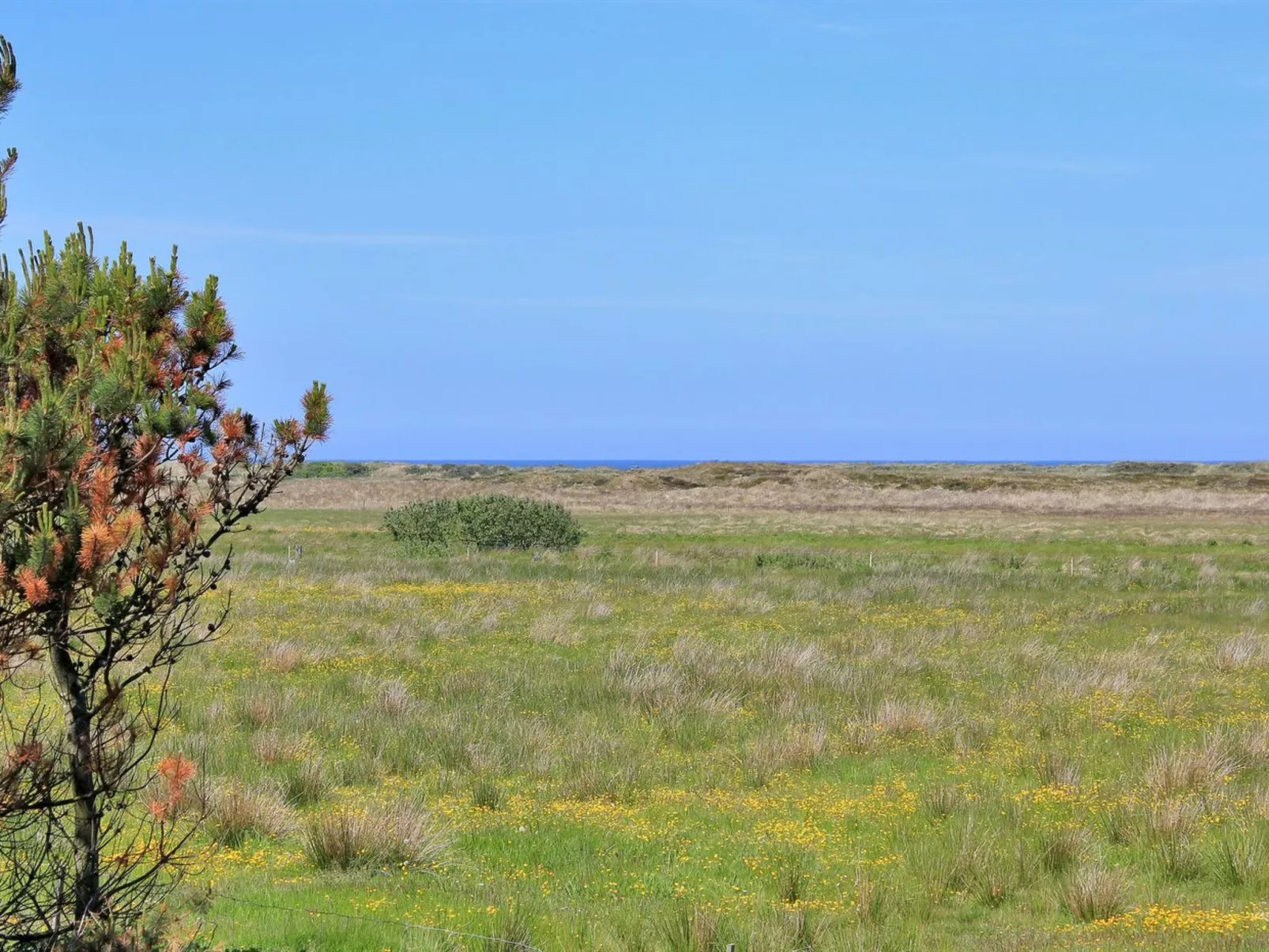 "Annick" - 300m from the sea-Buiten