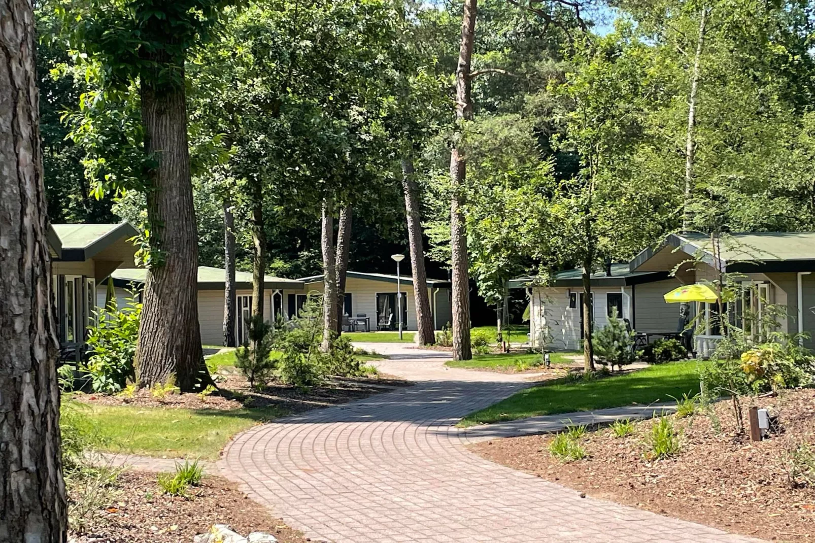 Bungalow Chalet+ | 2 - 4 people-Gebieden zomer 1km