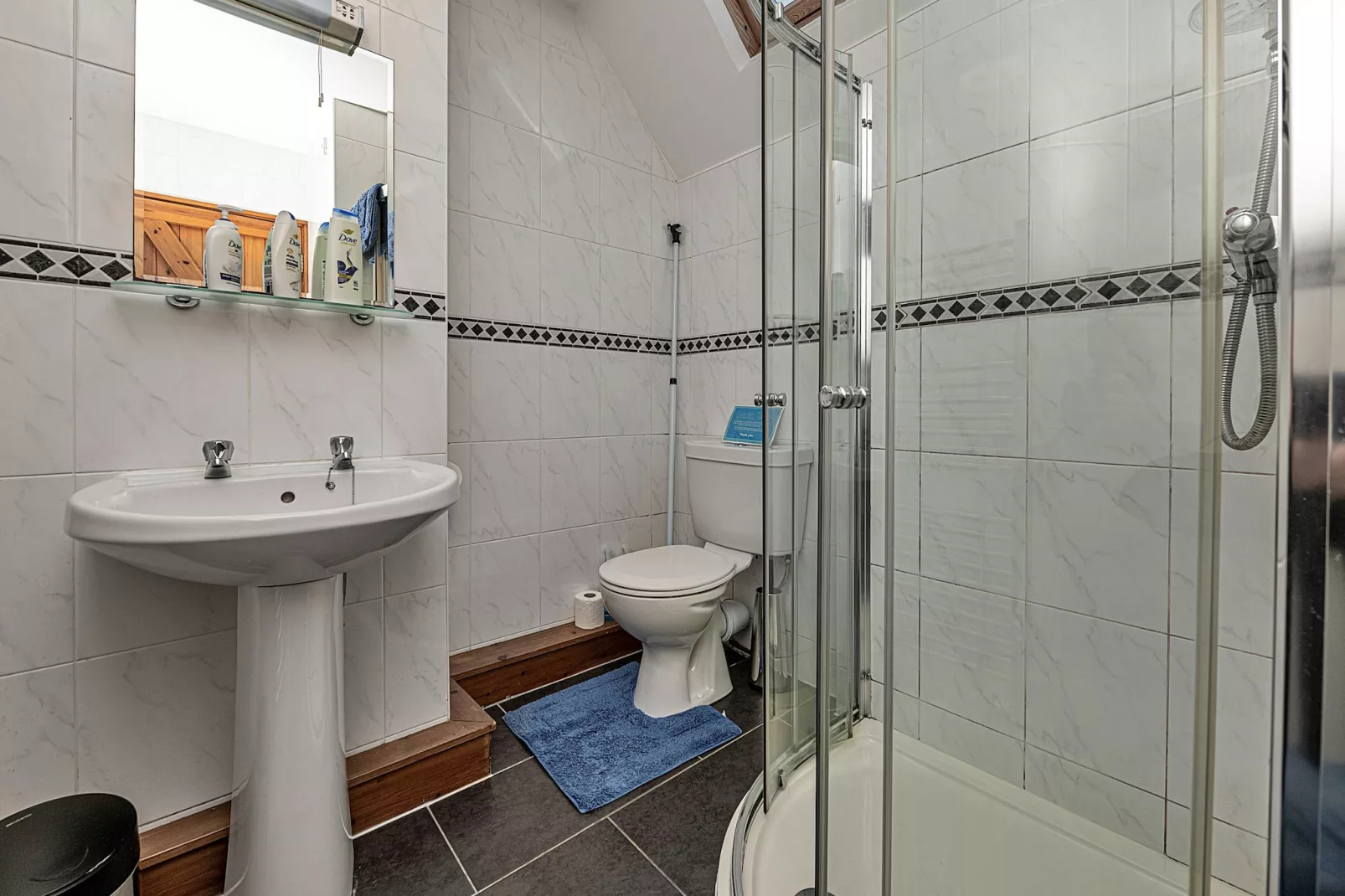 Llechwedd Mawr-Badkamer
