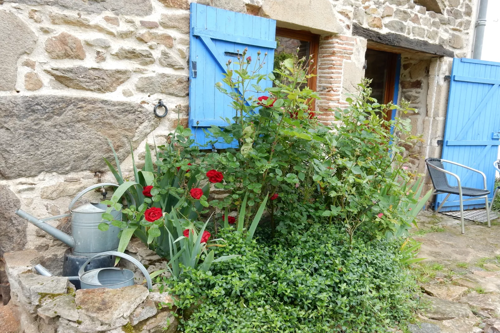 Le Dauphin bleu-Sfeer