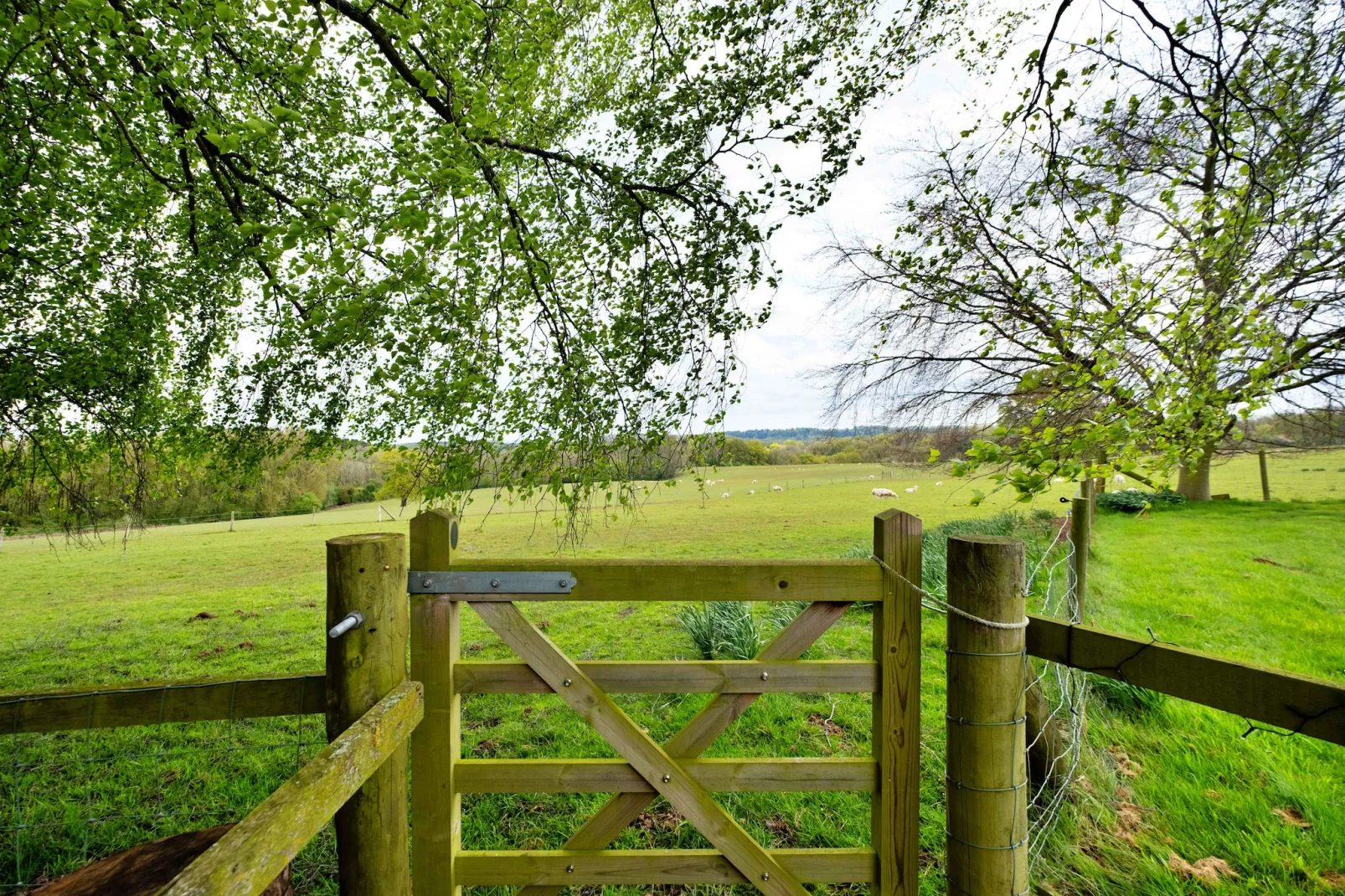 Hay and Hedgerow Glamping-Tuinen zomer