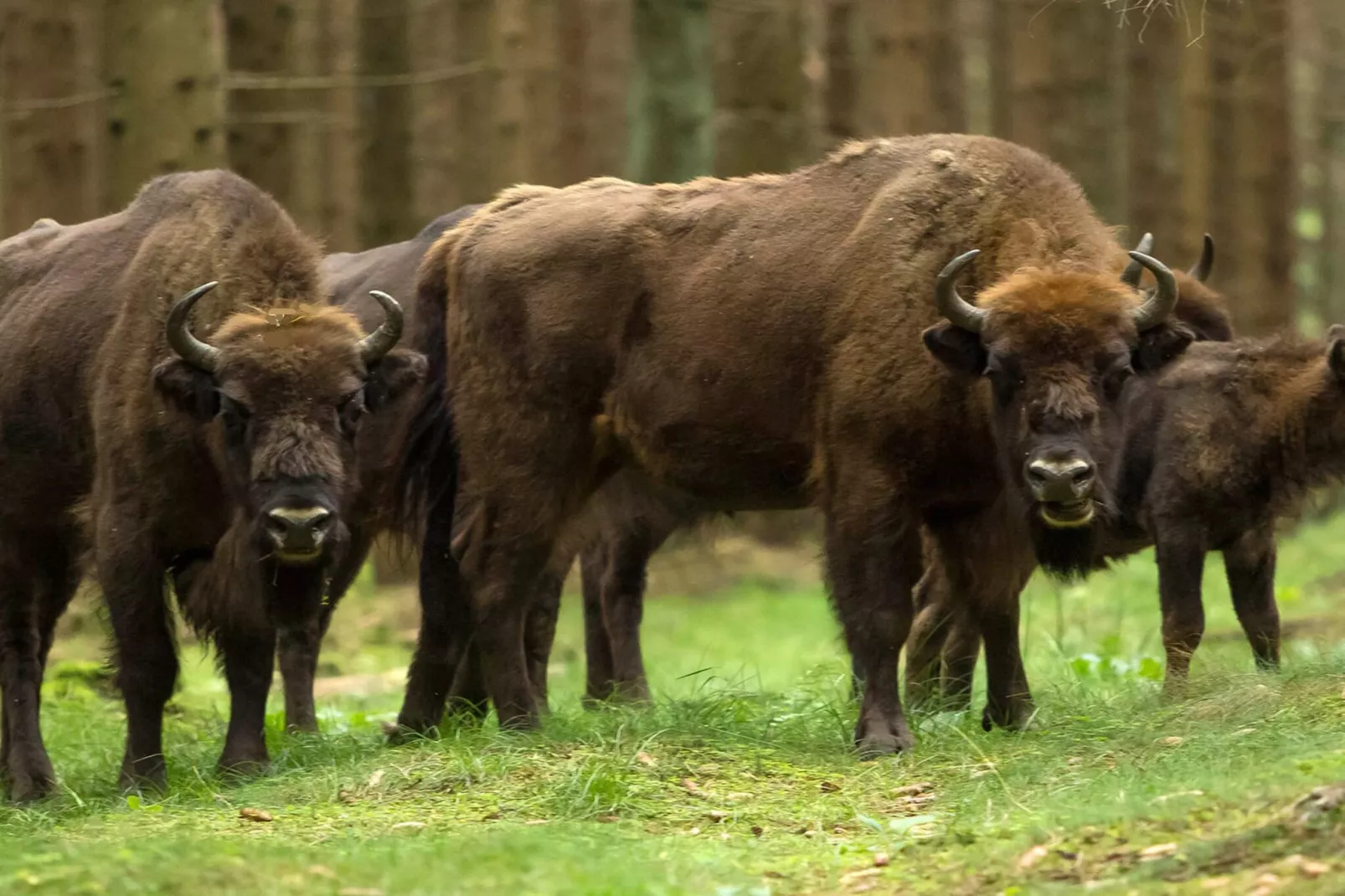 4 pers.Hus-Niet-getagd