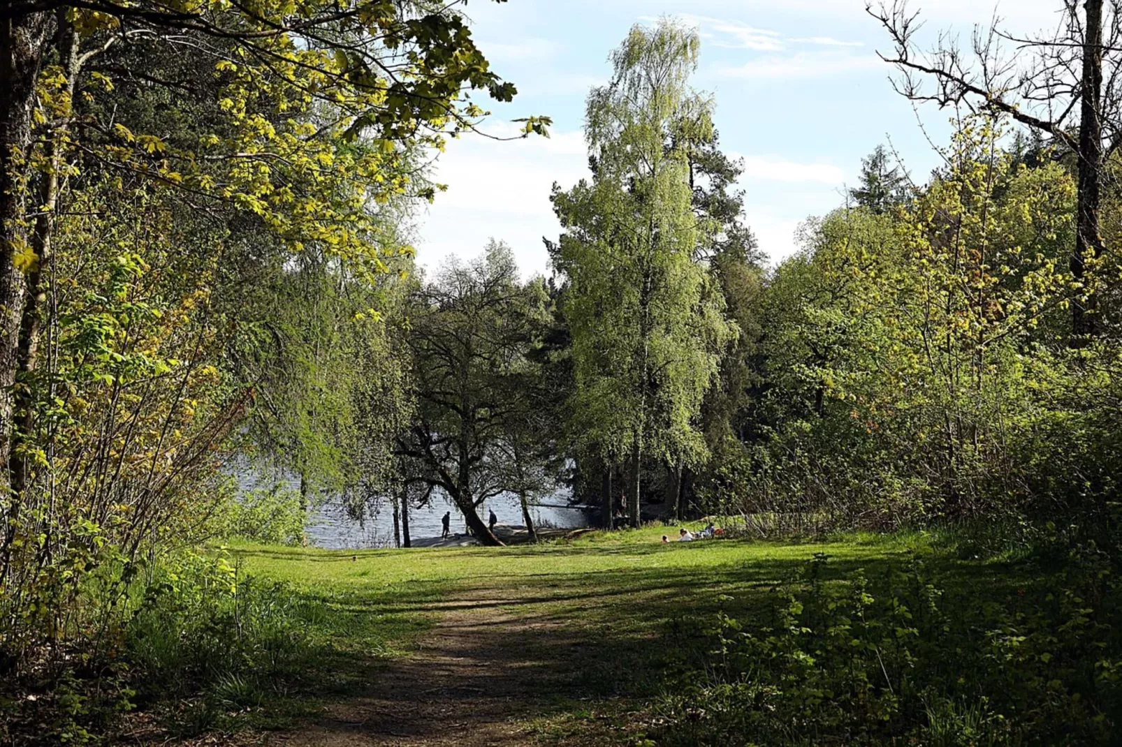 Ferienhaus Seeblick-Gebieden zomer 20km