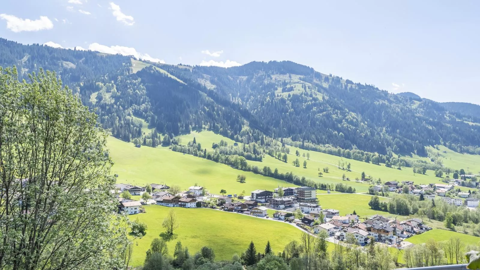 Berghof-Uitzicht zomer