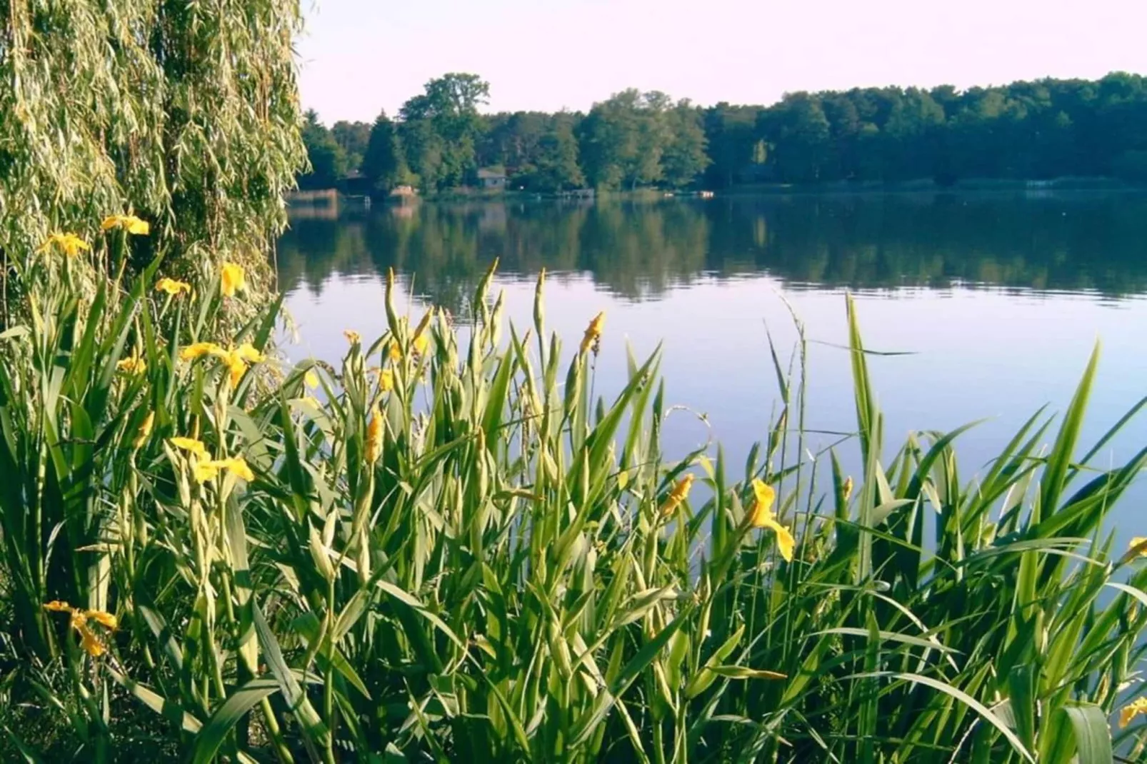 Ferienhäuschen in Schwerin-Gebied winter 20km