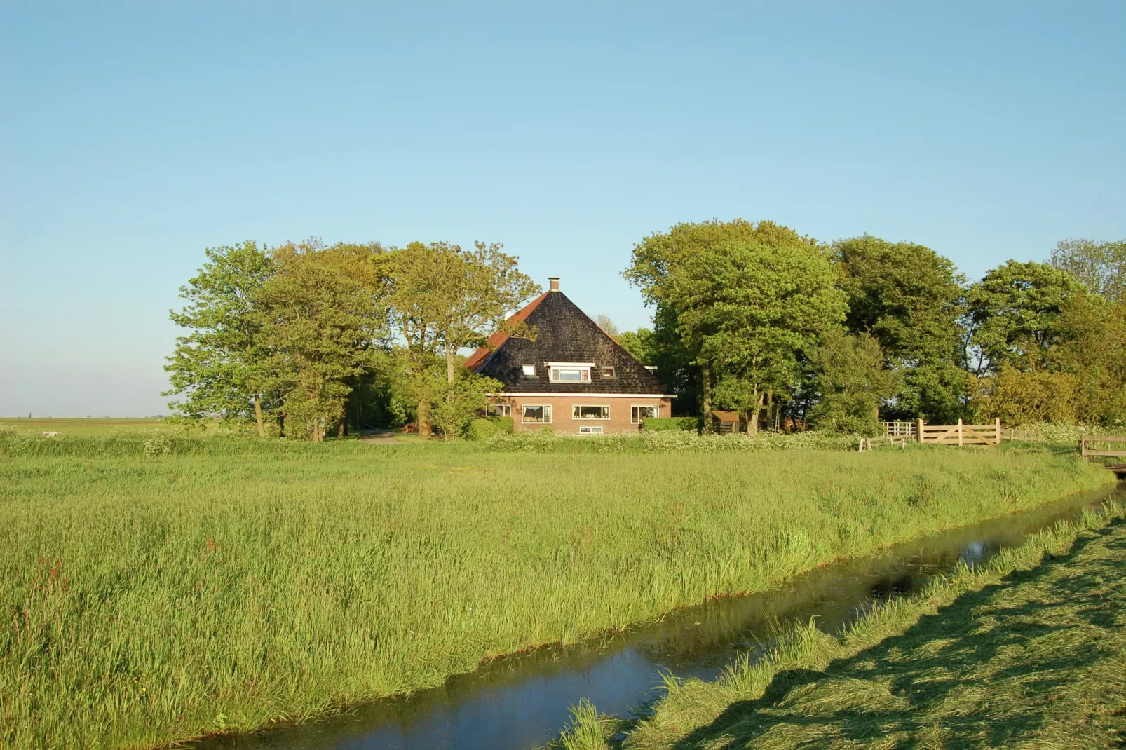 Berkenhof appartment-Buitenkant zomer