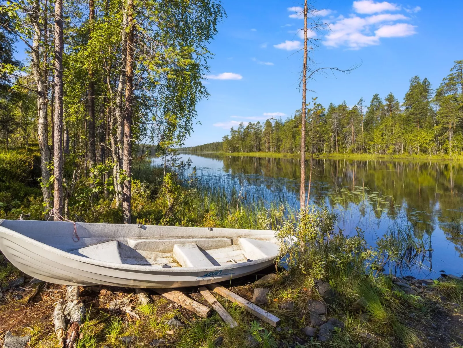 Kiehtäjän kuohu-Buiten