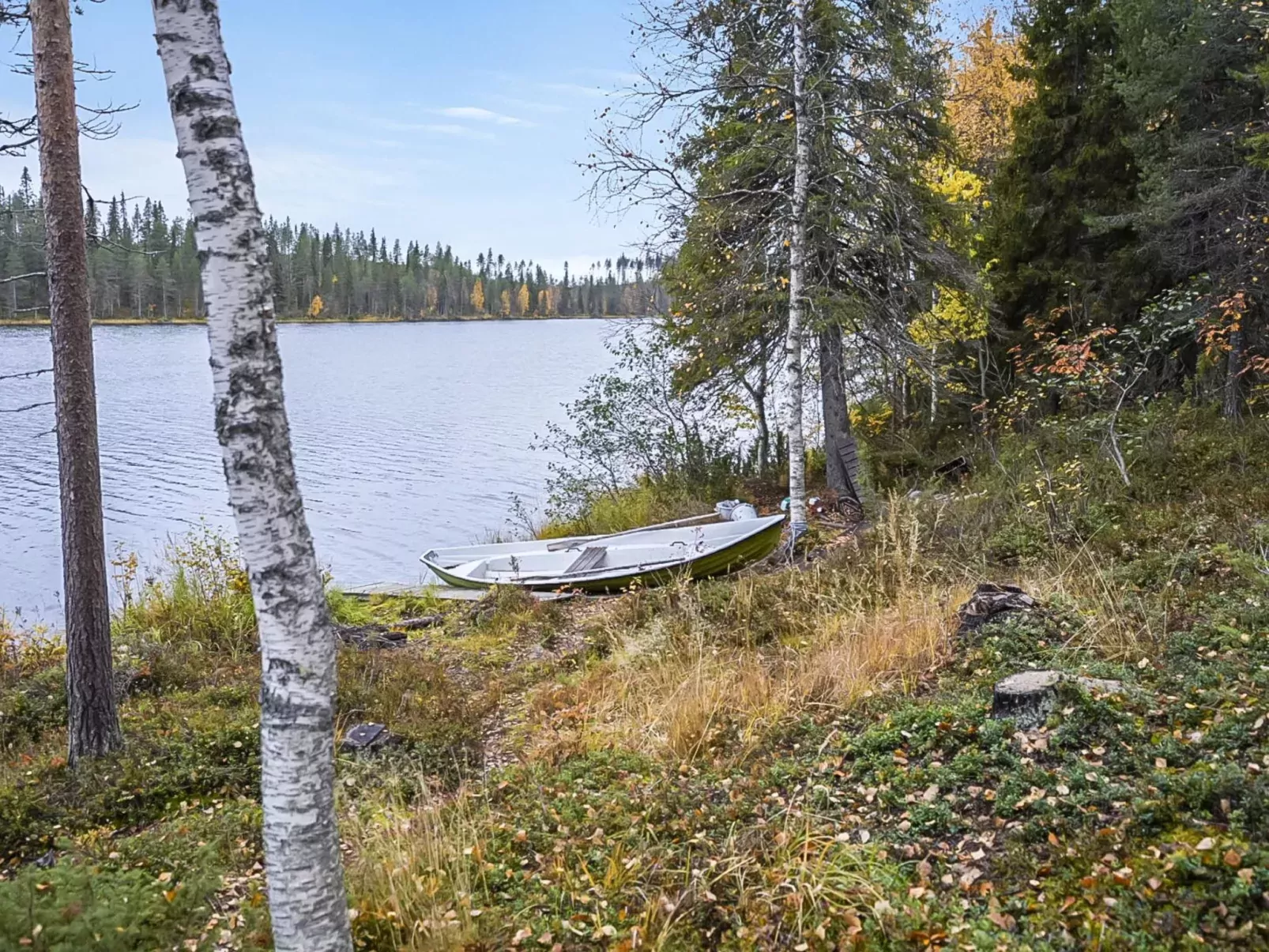Saapunkijärvi, pitkäperä-Buiten