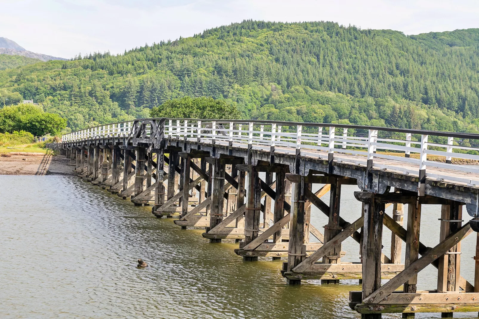 Toll Bridge Cottage-Buitenlucht