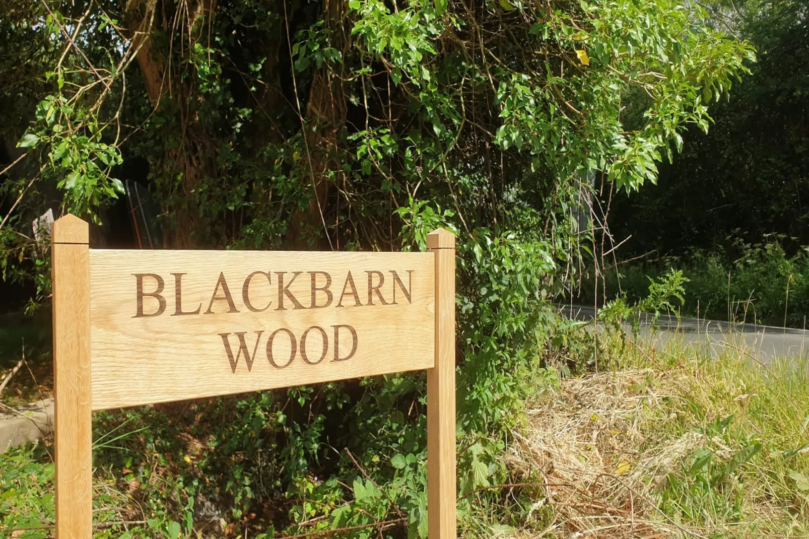 Blackbarn Wood-Buitenlucht