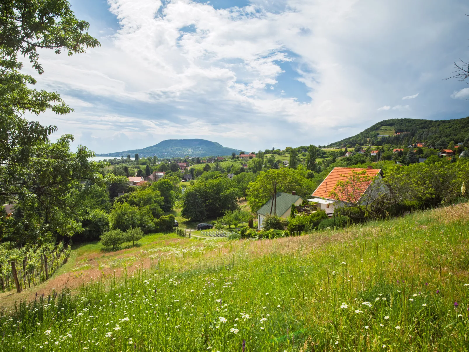 Kopacsi-Buiten