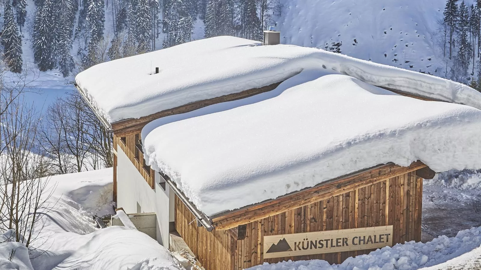 Künstler-Exterieur winter