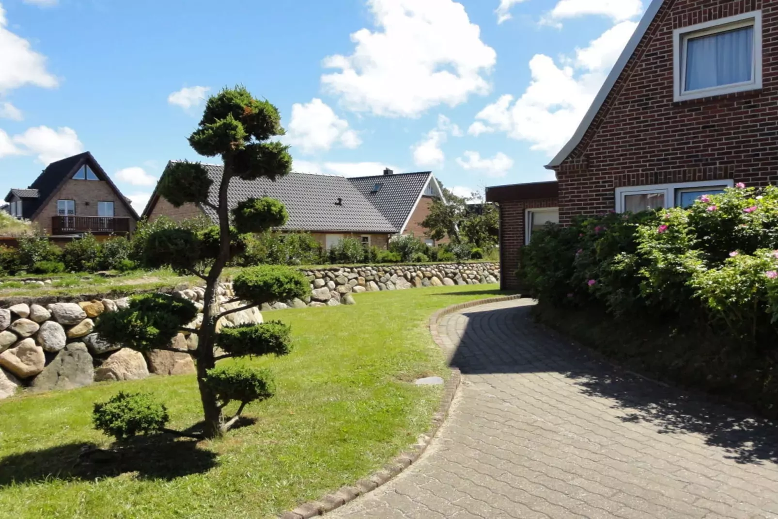 53642-Gebieden zomer 1km
