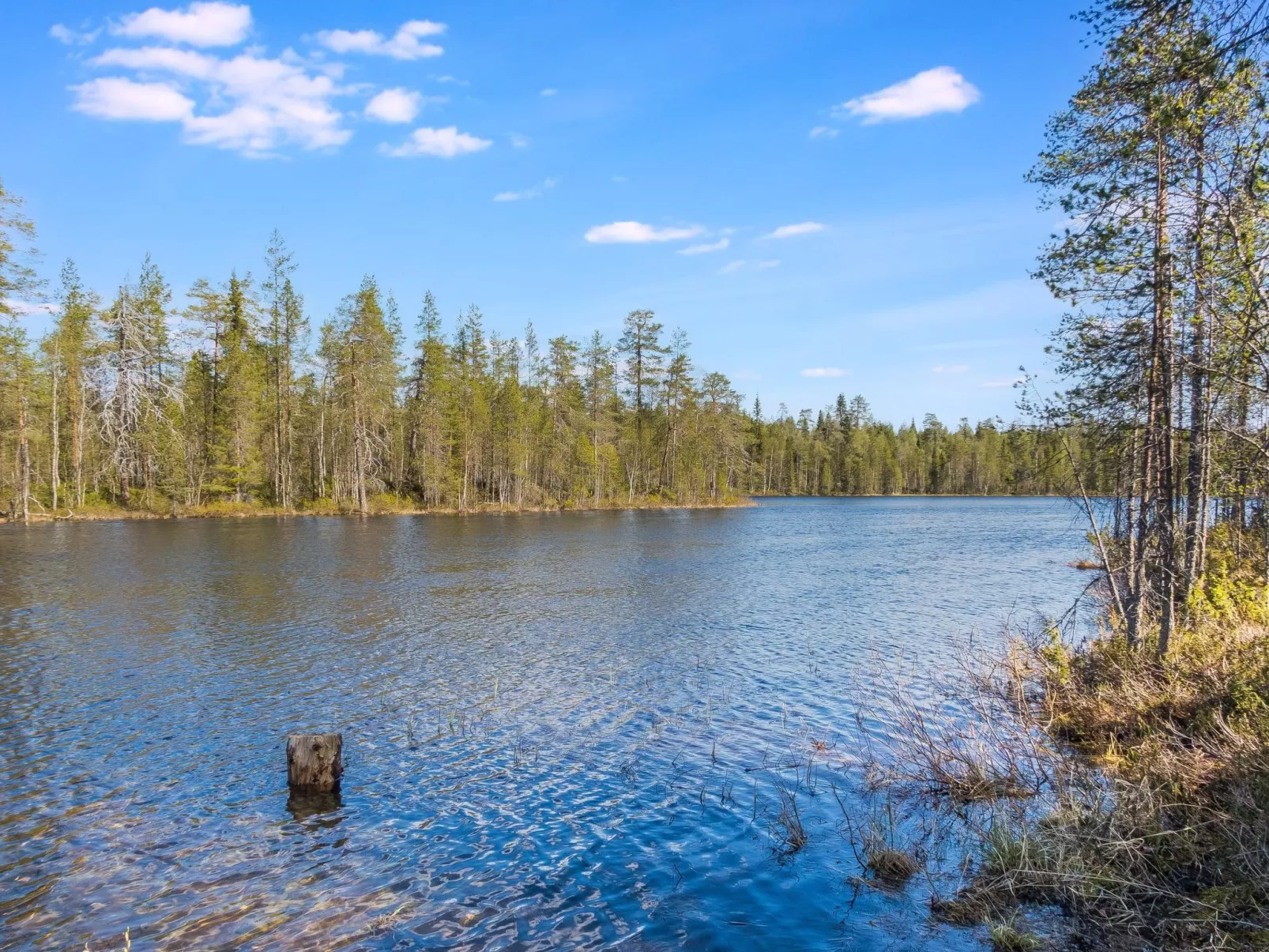 Kiehtäjän kuohu-Buiten