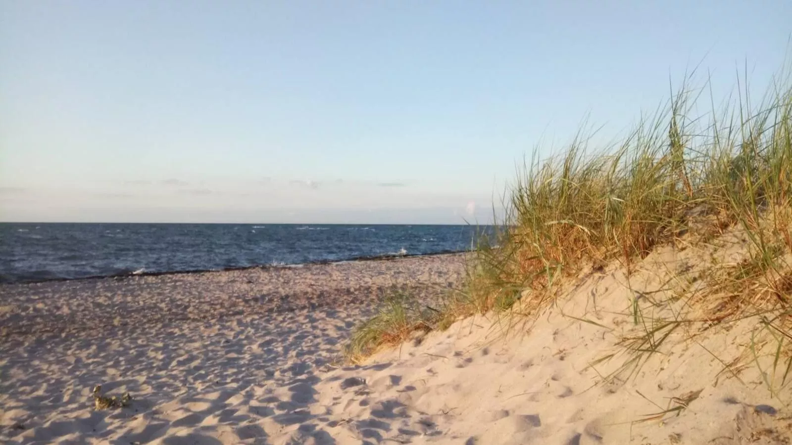 FeWo Schulzenhufe