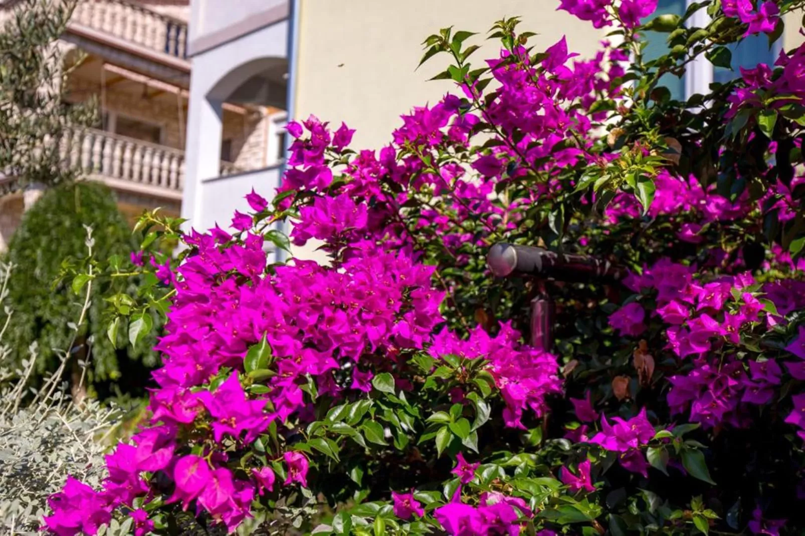 Apartment Slavica 3 - Yellow Sun-Gebieden zomer 5km