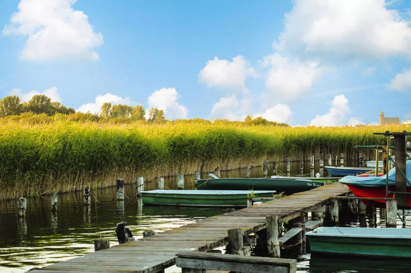 Haus Hyggelig Haus 1 120 qm-Gebieden zomer 5km
