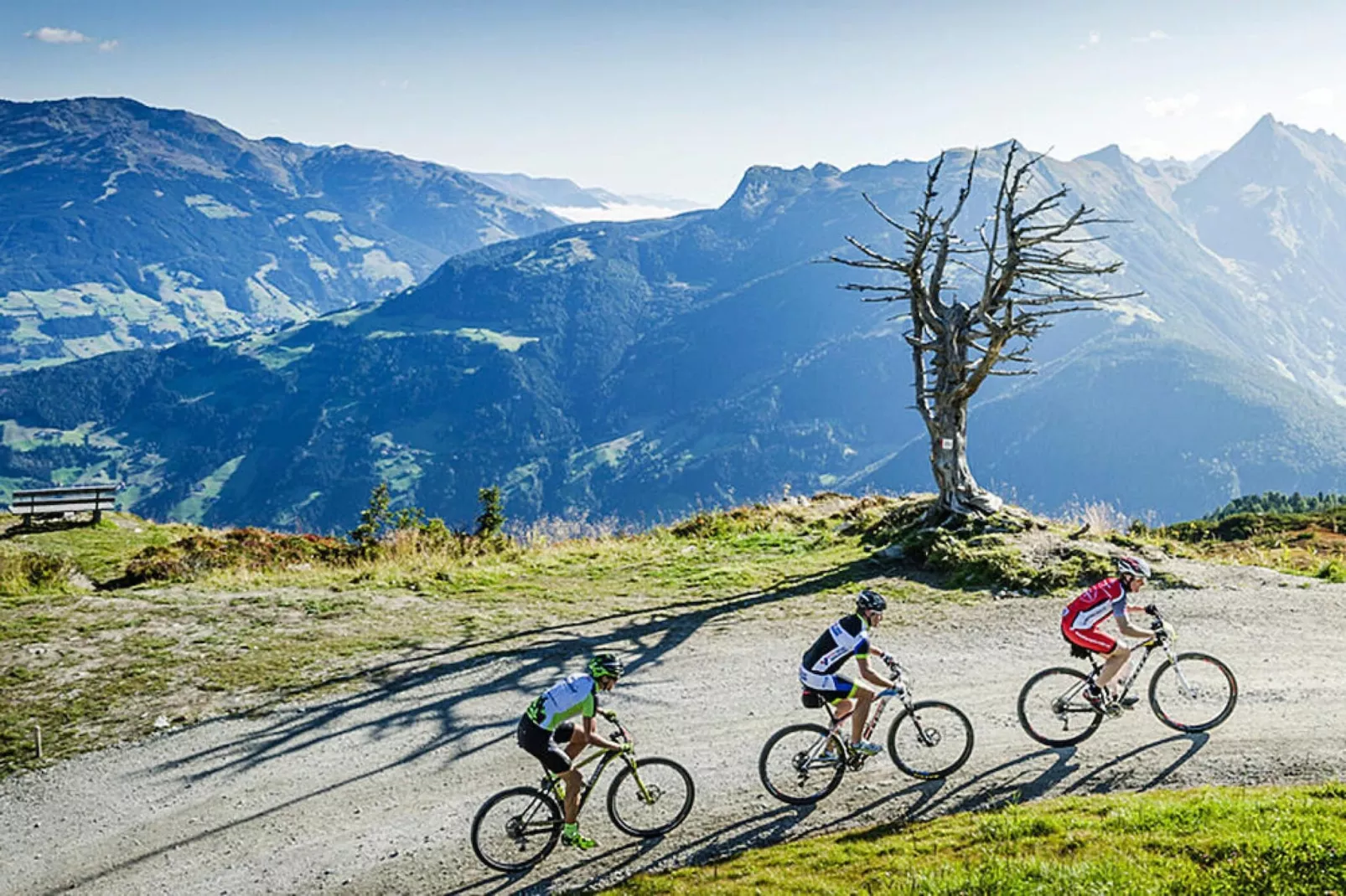 Haus Bergheim - 24 Personen-Gebieden zomer 5km