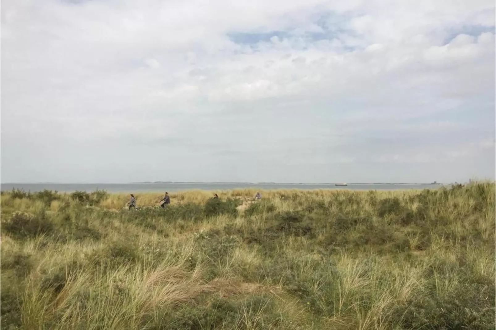 Het Platte Putje - Huisdier - nr 2-Gebieden zomer 20km