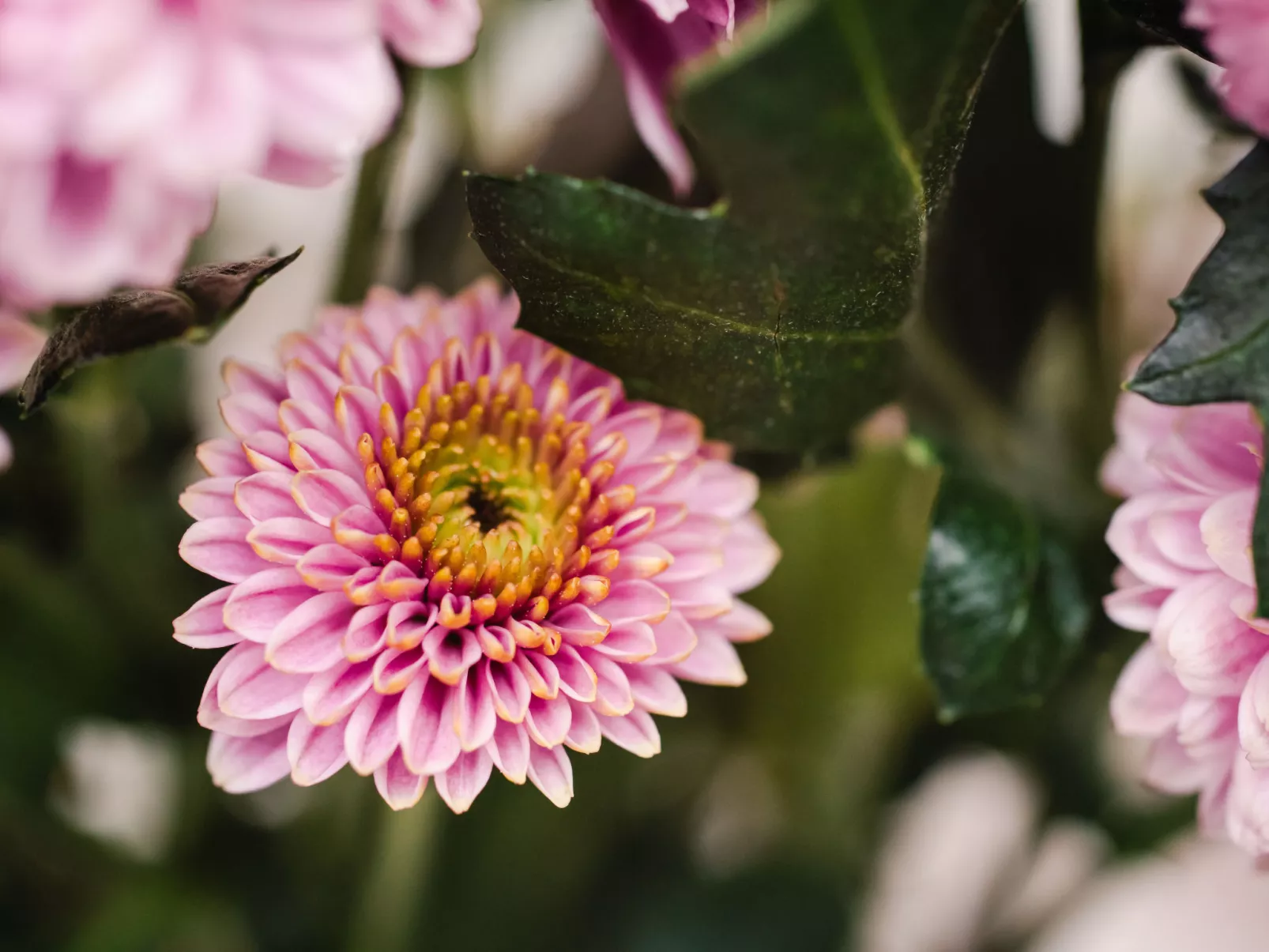 Harbour Nights 7D-Binnen