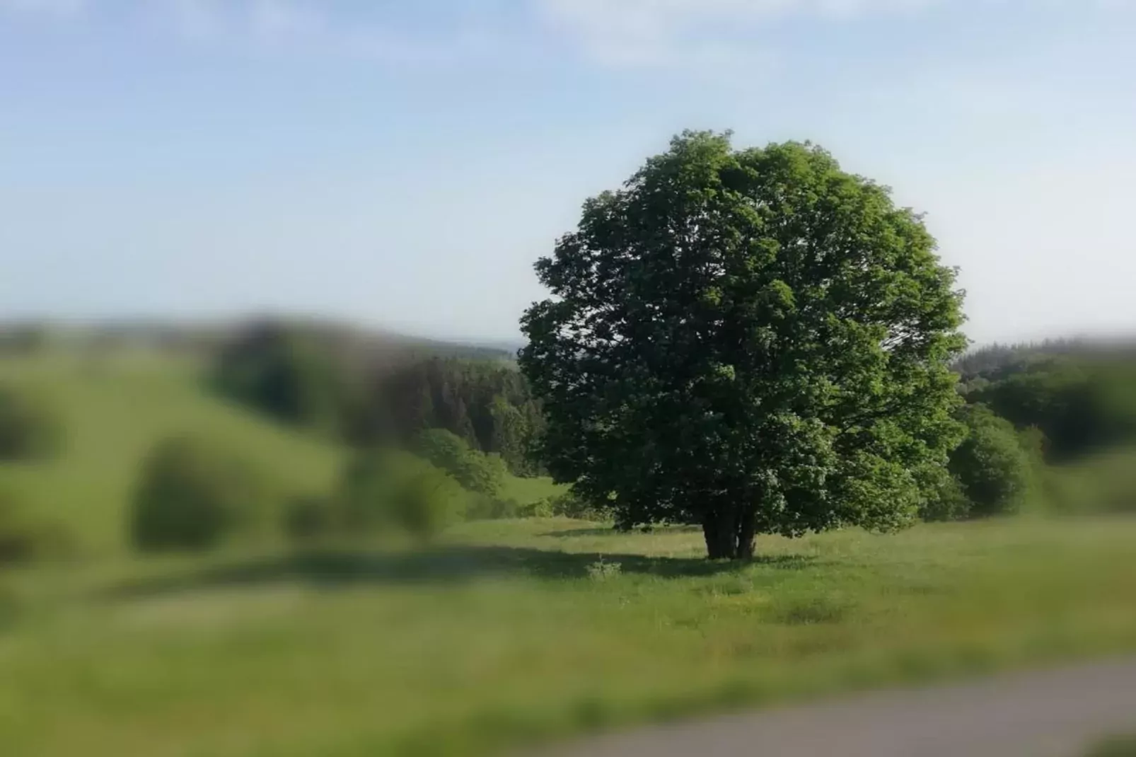 Altes Bootshaus 2-Gebieden zomer 20km