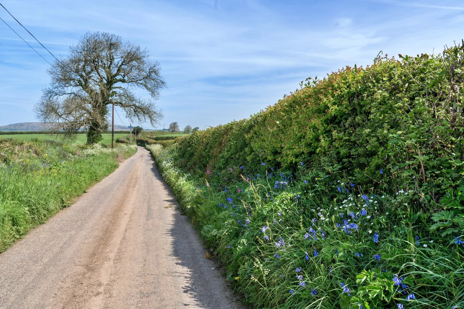 Cutkieve Farm Cottage-Tuinen zomer