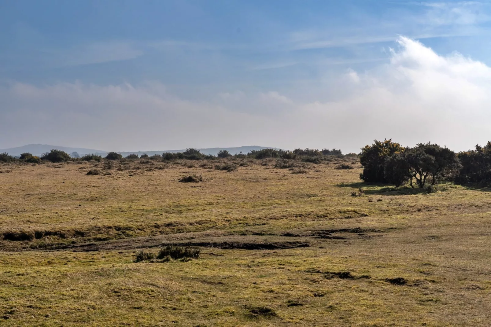 Jubilee Cottage at Bodmin Moor-Buitenlucht