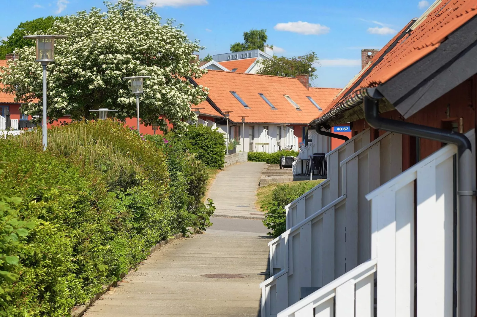 3 room w/seaview-PLUS-Uitzicht