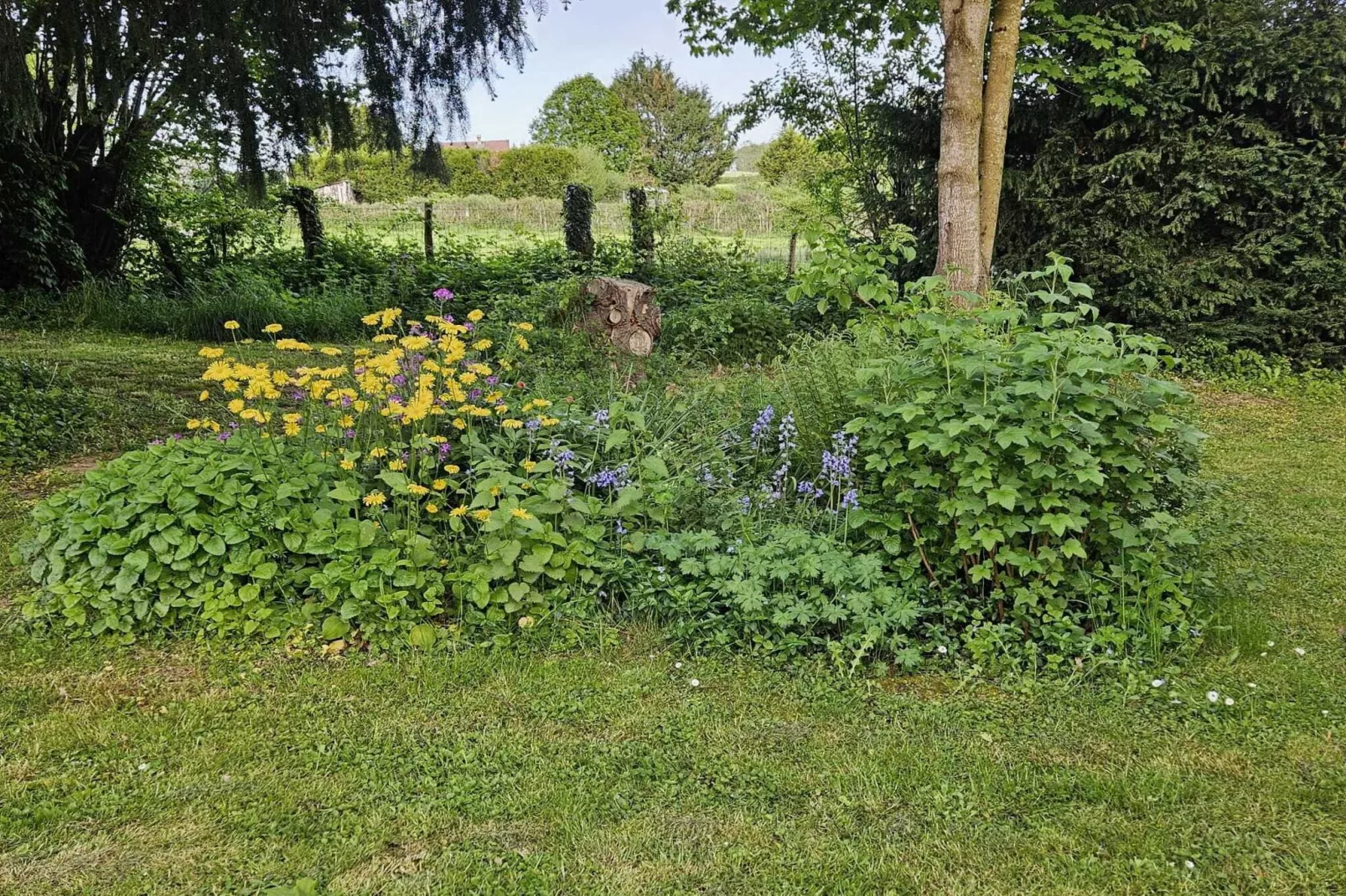 Gîte d'Artisan-Tuinen zomer