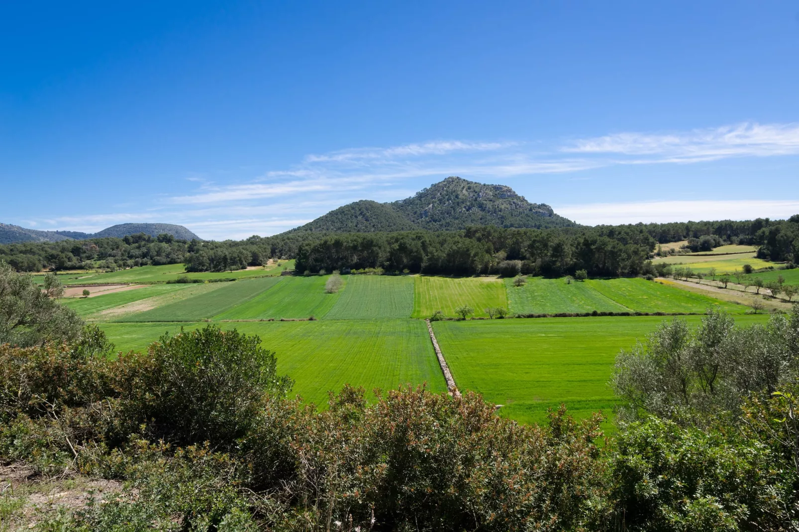 Can Gallot De Punxuat-Image-tags.