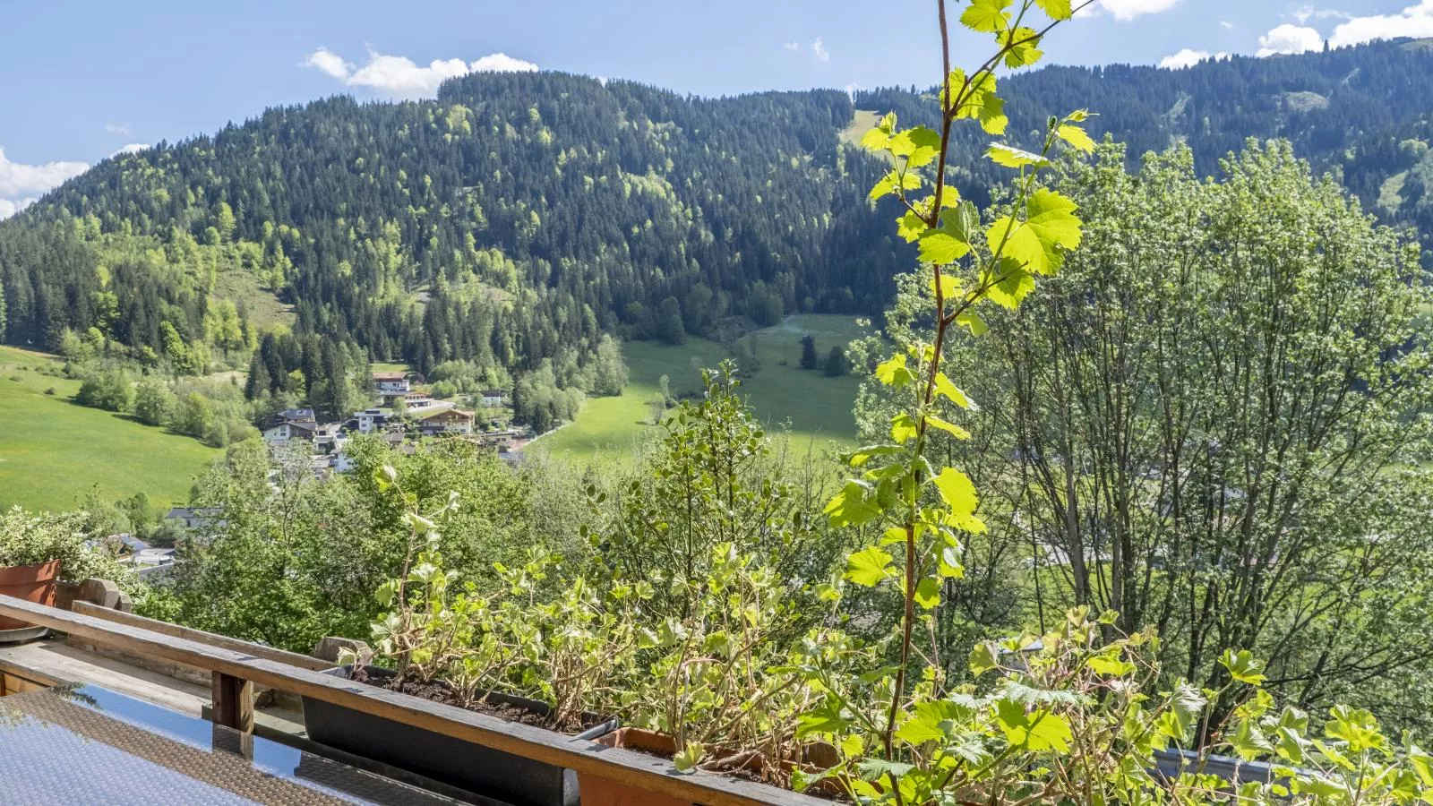 Berghof-Uitzicht zomer