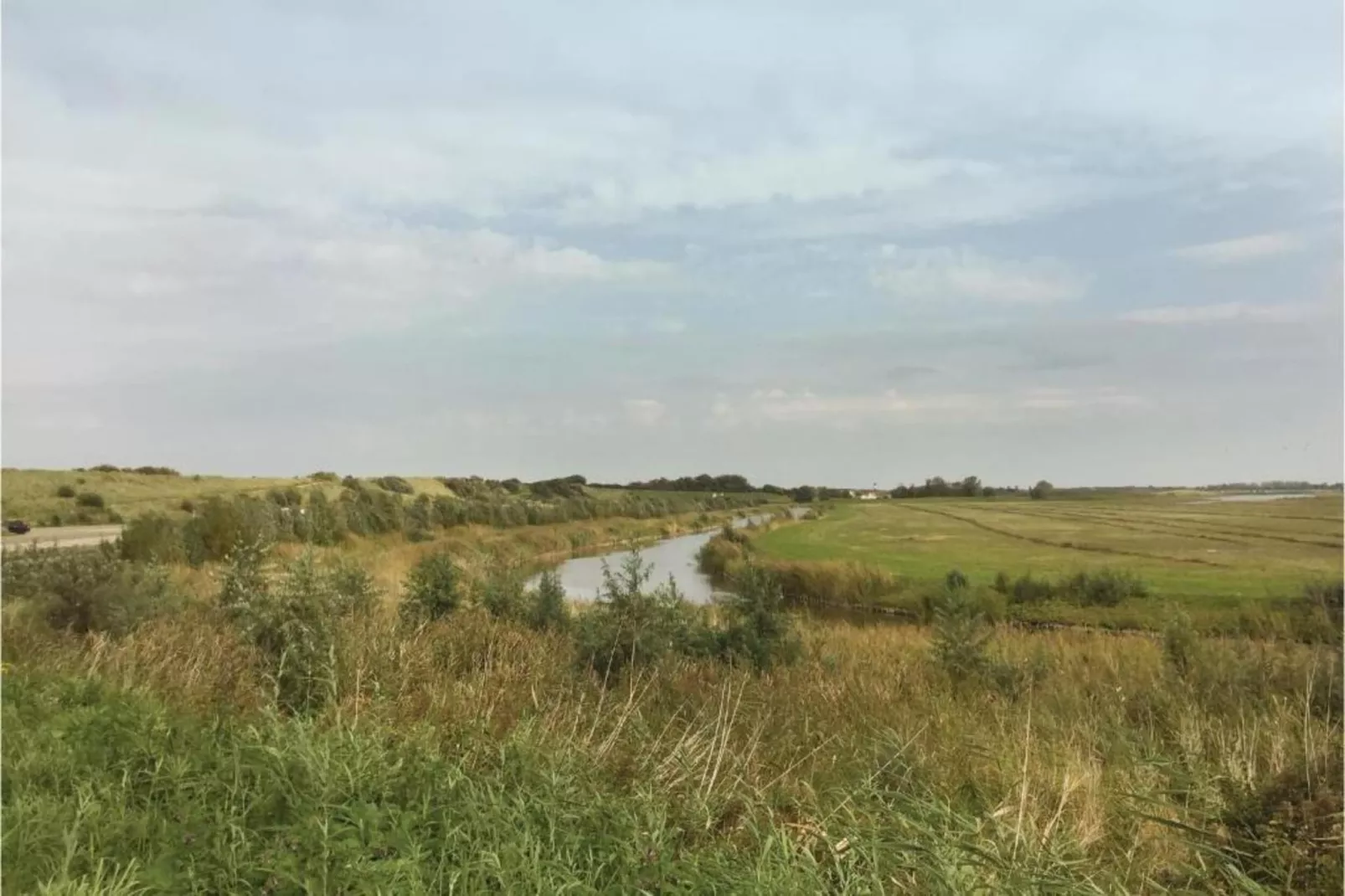 Het Platte Putje - Huisdier - nr 2-Gebieden zomer 20km