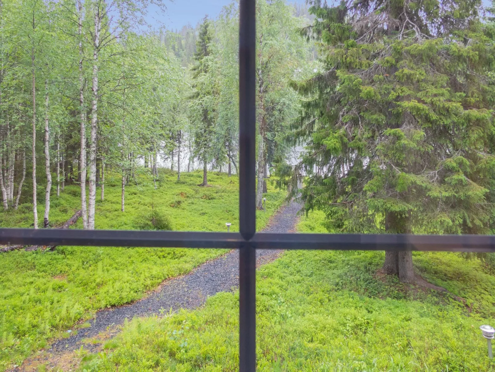 Muuttohaukka-Buiten