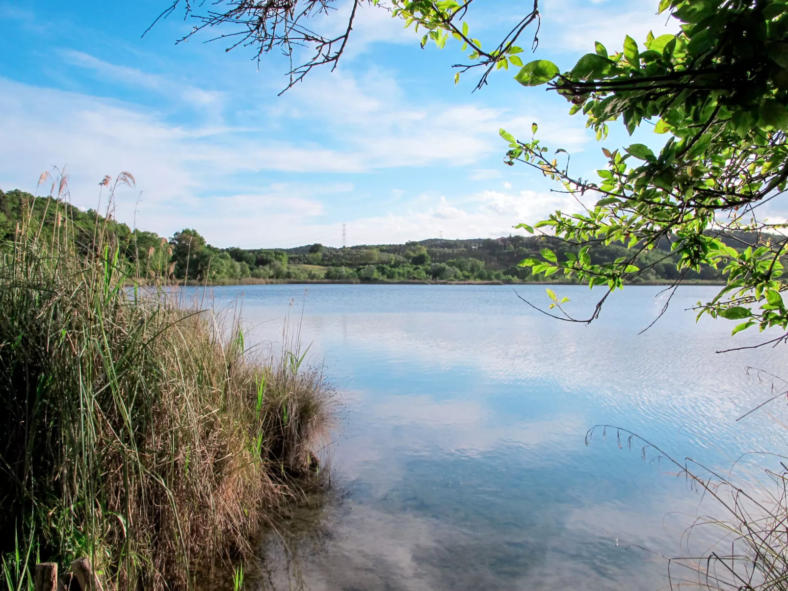Rosmarino-Omgeving
