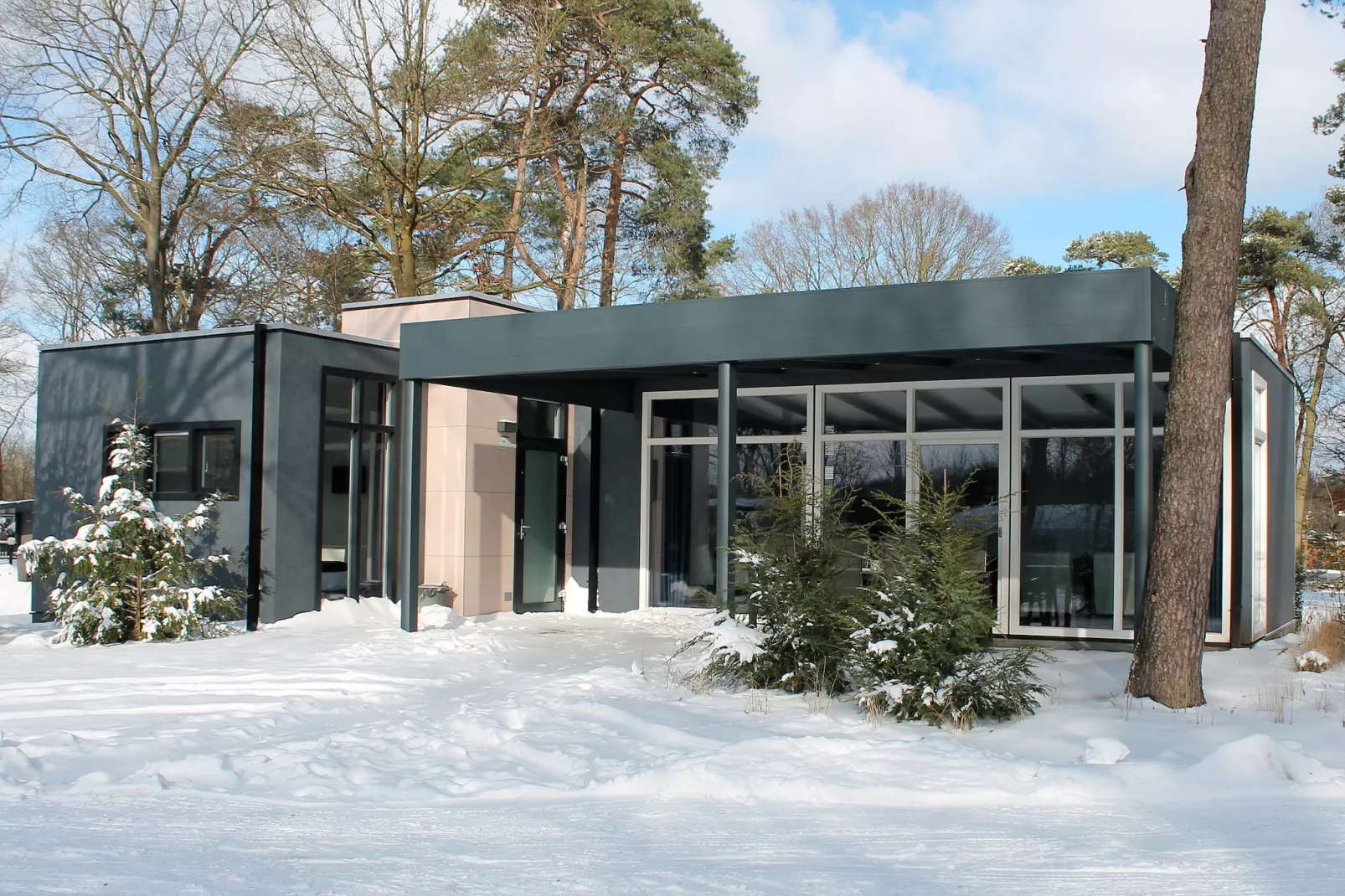 Forest Villa | 2 - 6 people-Exterieur winter