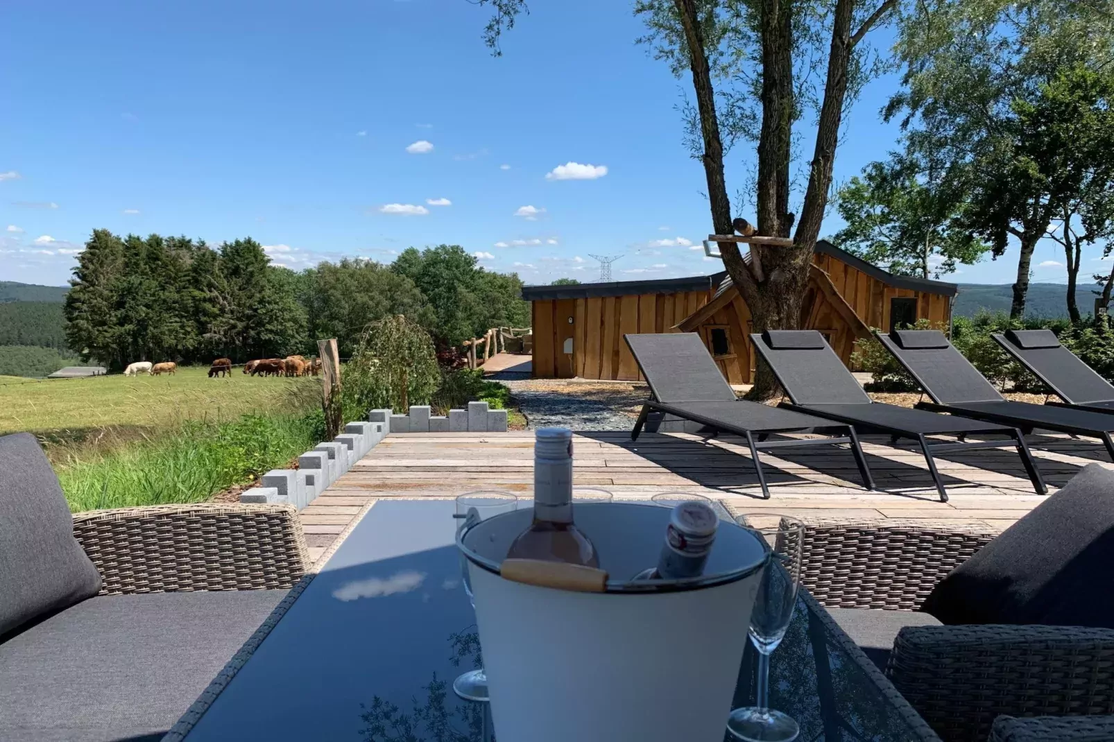 Chalet Bulle-Terrasbalkon