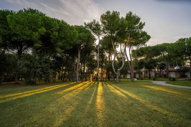 Holiday resort Riva degli Etruschi San Vincenzo-Ville Comfort  Trilo-SANGIOVETO 200 m dal mare-Tuinen zomer