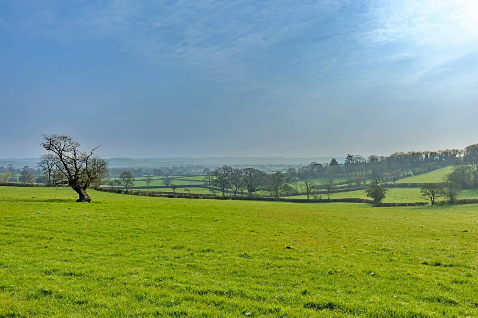 Fives Court Cottage-Buitenlucht