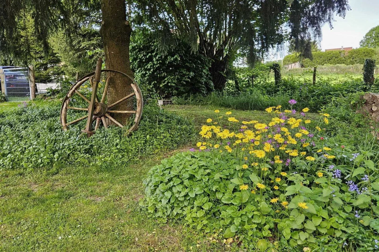 Gîte d'Artisan-Tuinen zomer