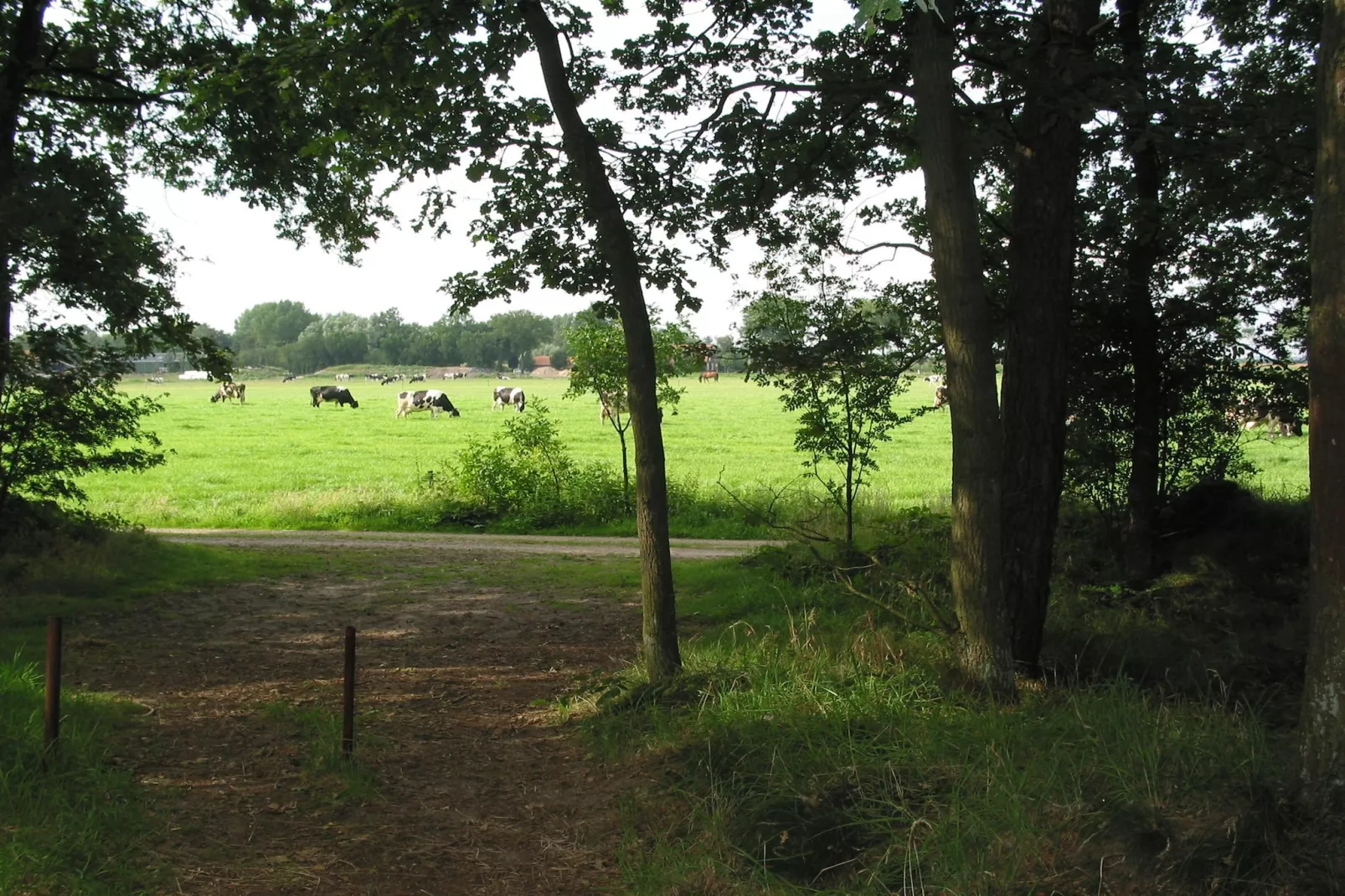 Vakantiepark Herperduin 17-Gebieden zomer 1km