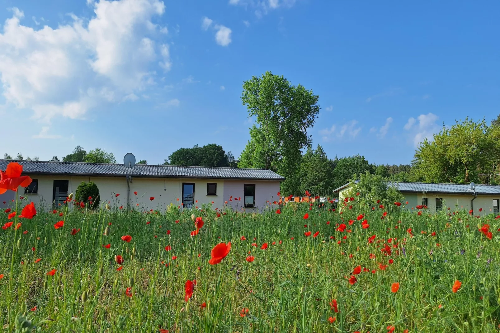 Ferienwohnung Seeblick-Uitzicht zomer
