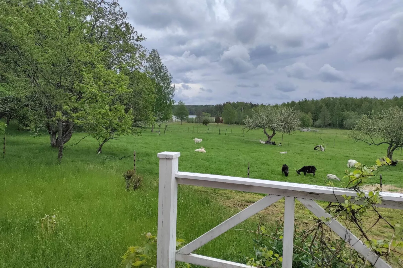 7 persoons vakantie huis in NYKVARN-By Traum-Buitenlucht