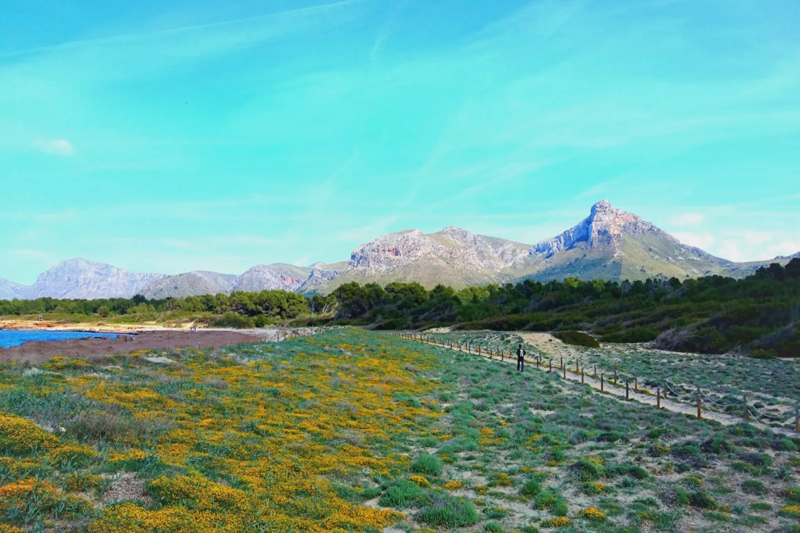 Sestanyol-Image-tags.