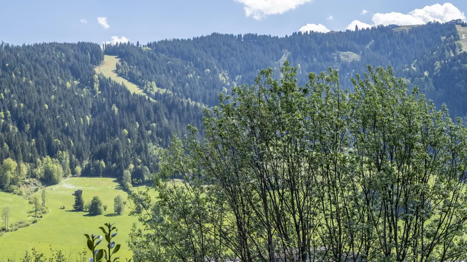 Berghof-Uitzicht