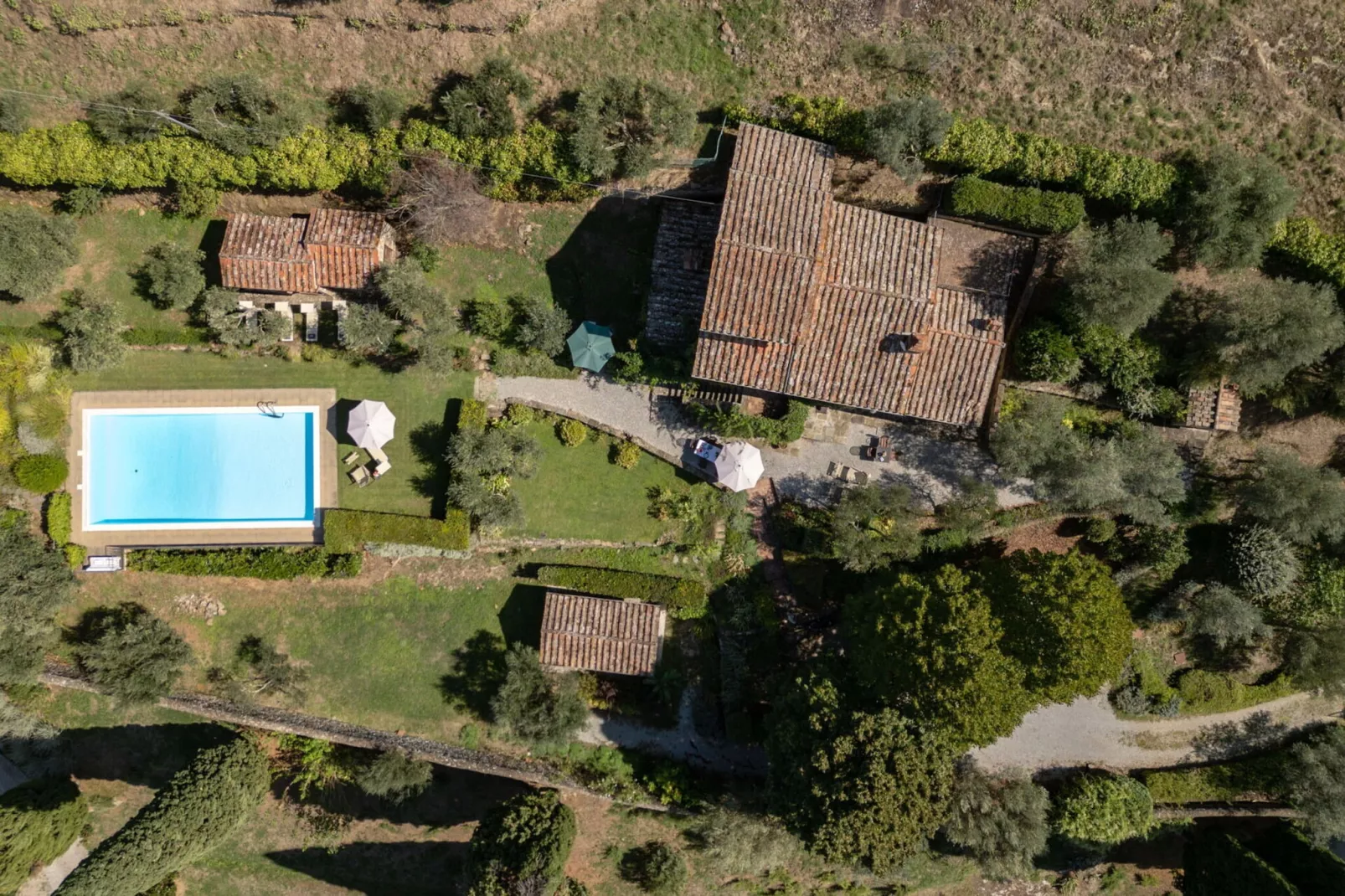 Villa delle Rose-Uitzicht zomer