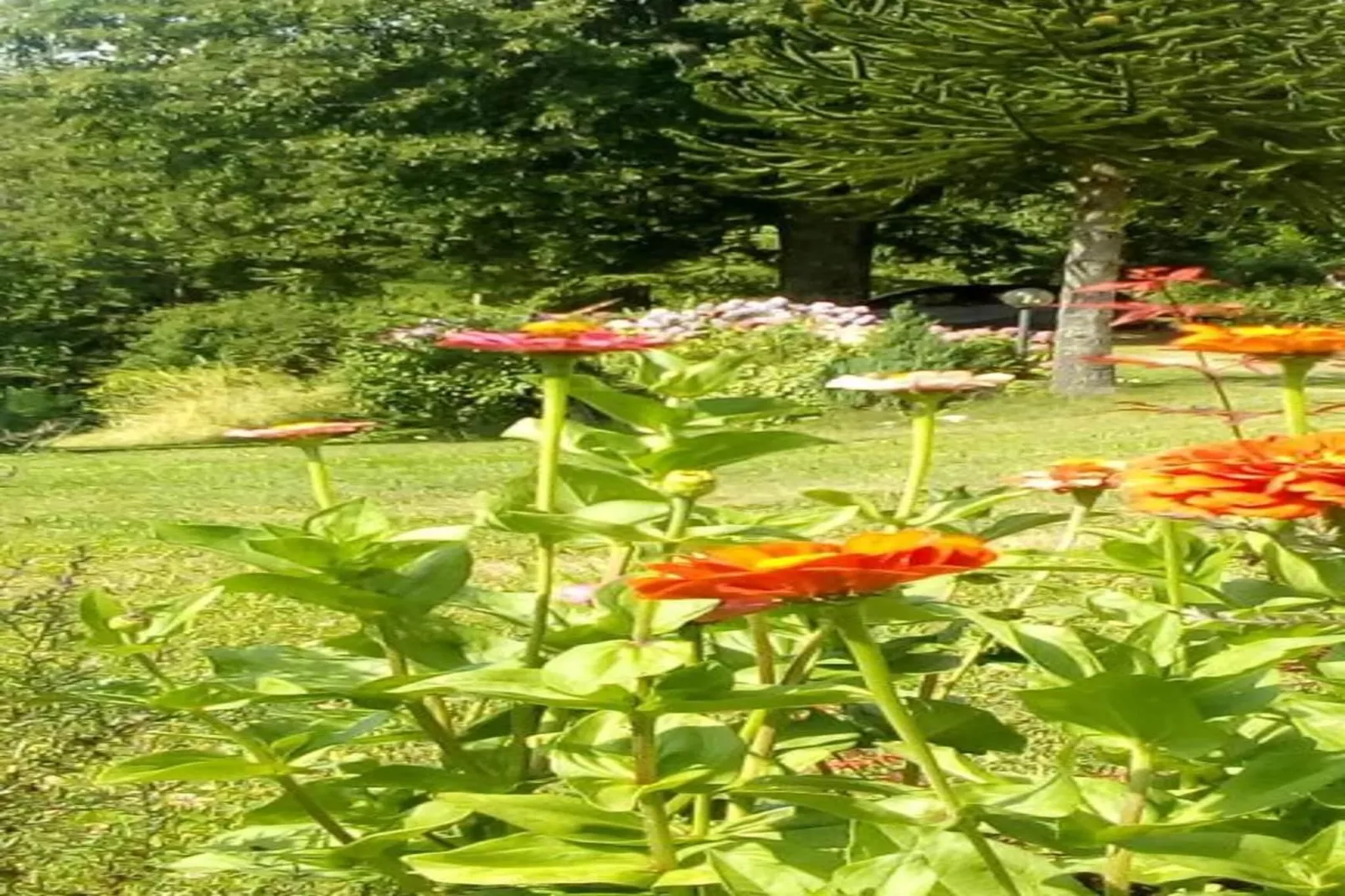 Casa di Lavanda-Gebieden zomer 20km