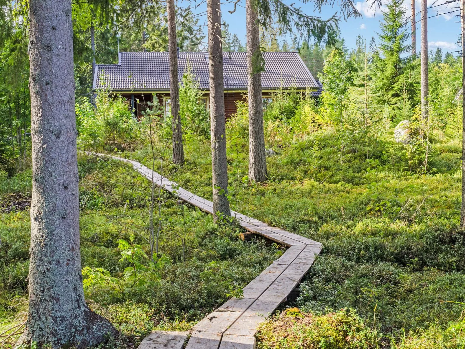 Villa usva-Buiten