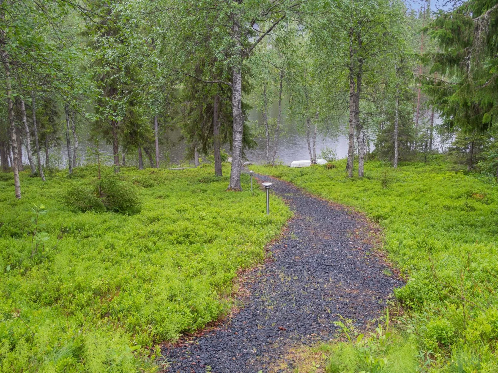 Muuttohaukka-Buiten